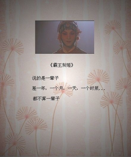 那些因为电影里的一句话 打动人心的故事。