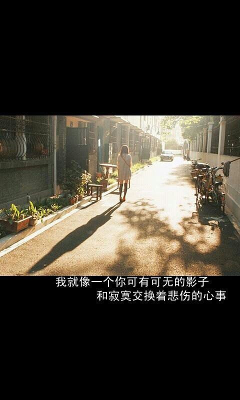 假情假意假温柔