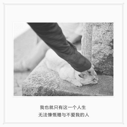听噪杂的笑闹，然后孤独终老