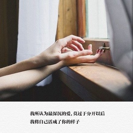 我们从没有忘记真相，只是我们越来越会说谎
