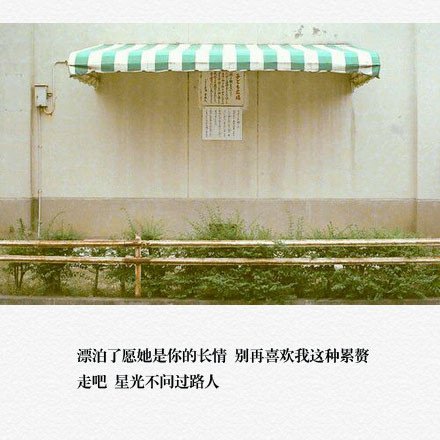 不要总怪谁，如你足够好