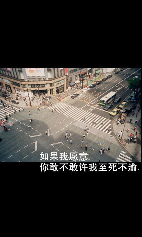 鱼忘七秒，人忘七年