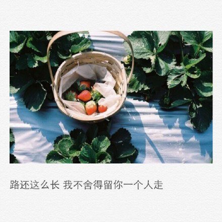 唯美图片，文字图片,情侣图片qqqqp