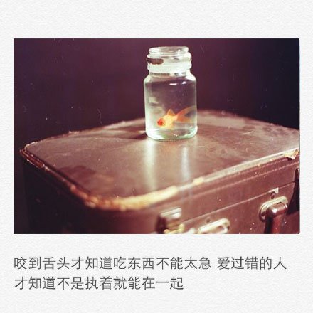 唯美图片，文字图片,情侣图片qqqqp