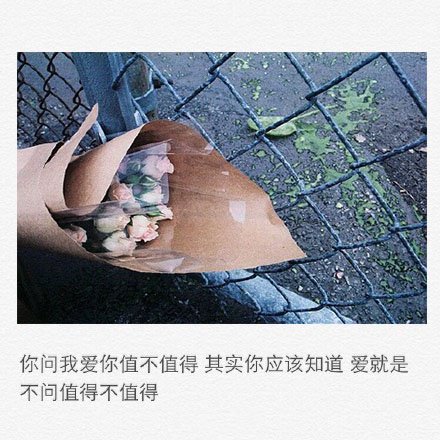 唯美图片，文字图片,情侣图片qqqqp