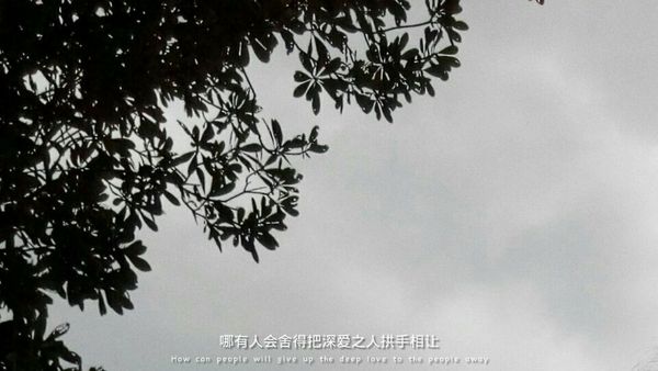 你在未来等我，我就来接你