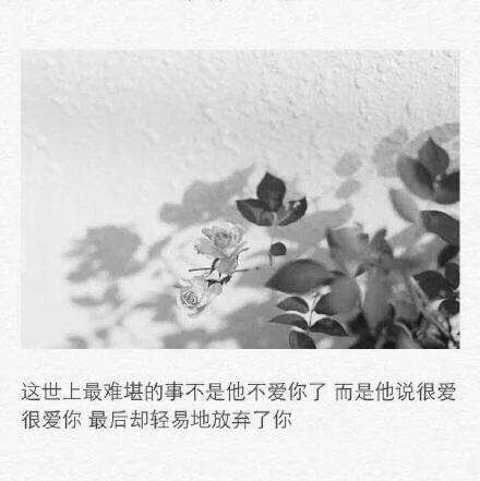 唯美图片，文字图片,情侣图片qqqqp