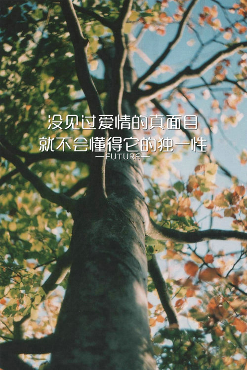 唯美图片，文字图片，动漫图片，情侣图片,qqqqp.com