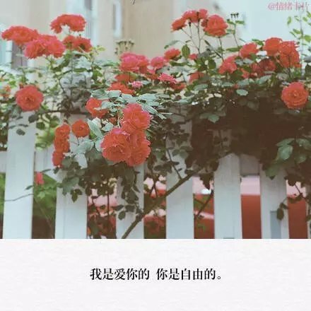 唯美图片，文字图片，动漫图片，情侣图片,qqqqp.com