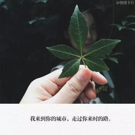 唯美图片，文字图片，动漫图片，情侣图片,qqqqp.com