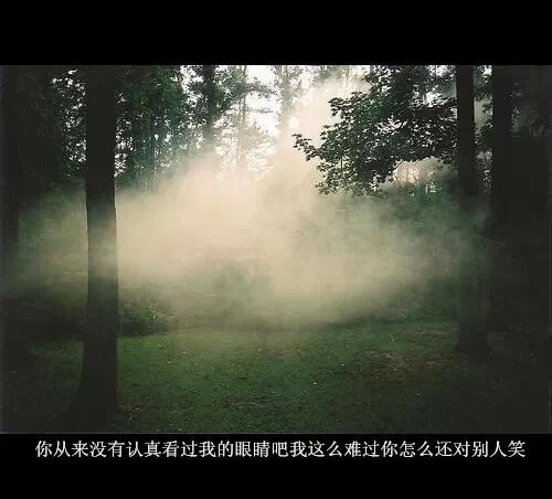我只赌一次你能与我度过一生，愿赌服输