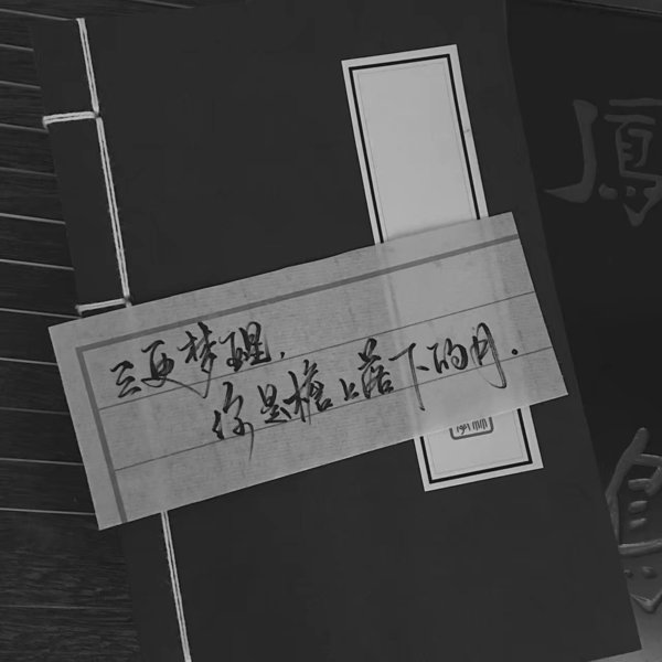 唯美图片，文字图片,情侣图片qqqqp
