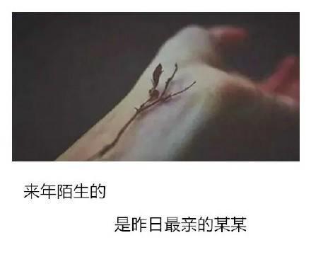 唯美图片，文字图片,情侣图片qqqqp