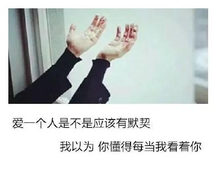 唯美图片，文字图片,情侣图片qqqqp