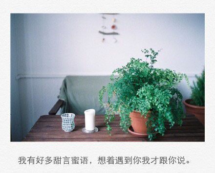 唯美图片，文字图片，动漫图片，情侣图片,qqqqp.com