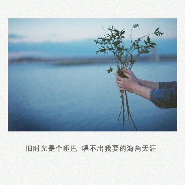 唯美图片，文字图片,情侣图片qqqqp