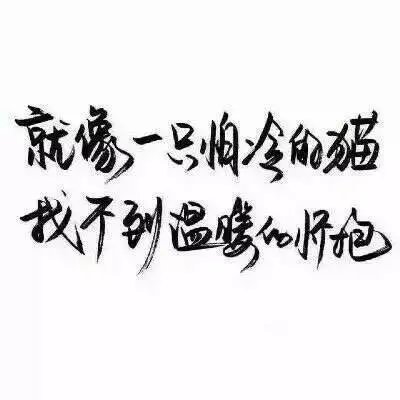 动了心的弱者，可以变得比狼更狠