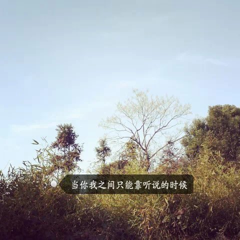唯美图片，文字图片,情侣图片qqqqp