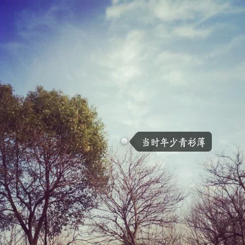 唯美图片，文字图片,情侣图片qqqqp