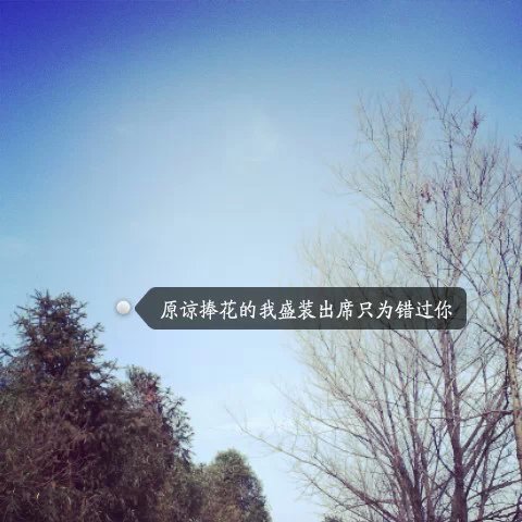 唯美图片，文字图片,情侣图片qqqqp