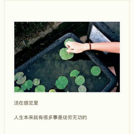 唯美图片，文字图片，动漫图片，情侣图片,qqqqp.com