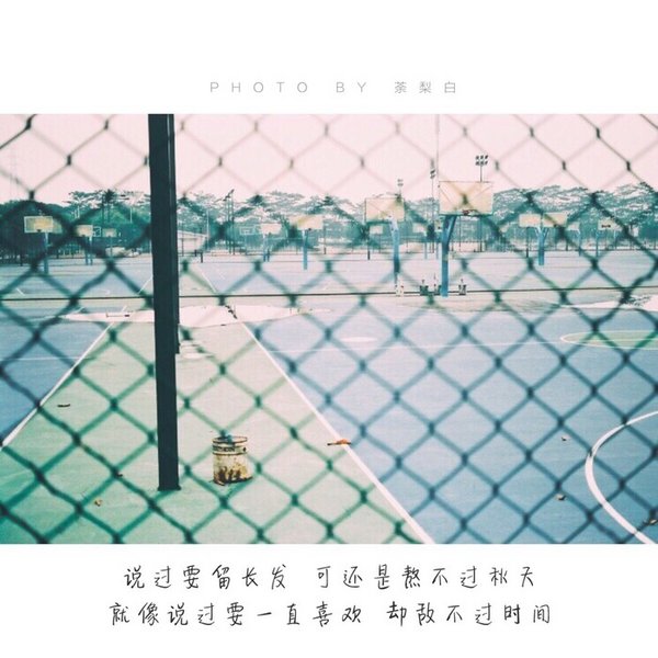 风吹树响，你是我的远方
