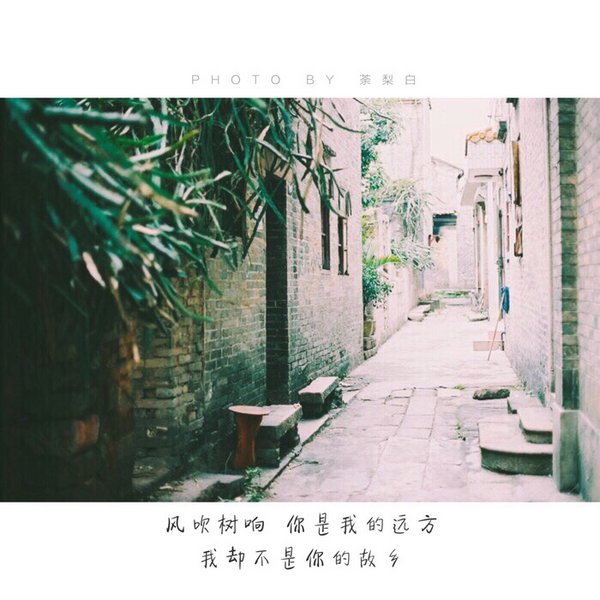 唯美图片，文字图片,情侣图片qqqqp