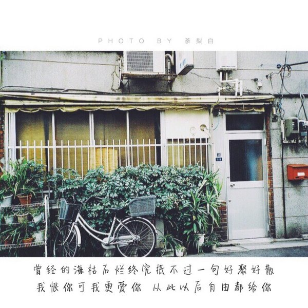 唯美图片，文字图片,情侣图片qqqqp