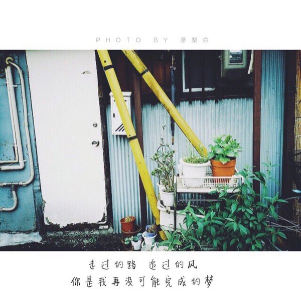 唯美图片，文字图片,情侣图片qqqqp