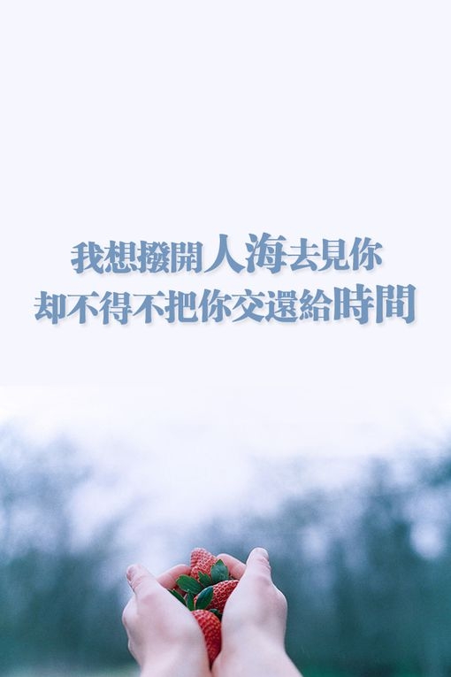 热闹的，全是你的幻影