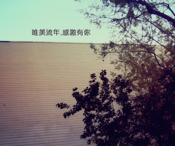 唯美流年，感激有你