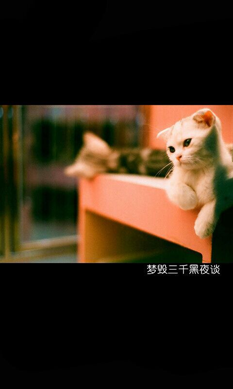 你一定在想他 他一定不是在想你.