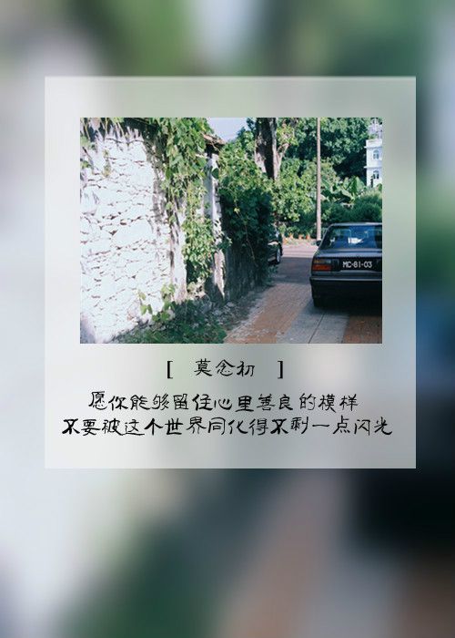 唯美图文 时间带刺游走在身边