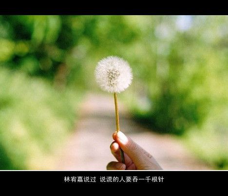 只能说我输了，还是你怕了