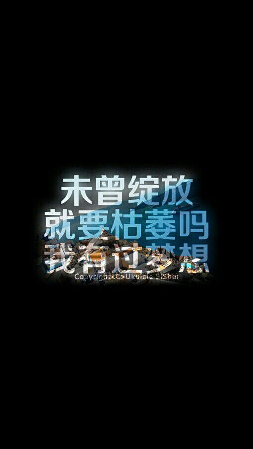 固执的喜欢着