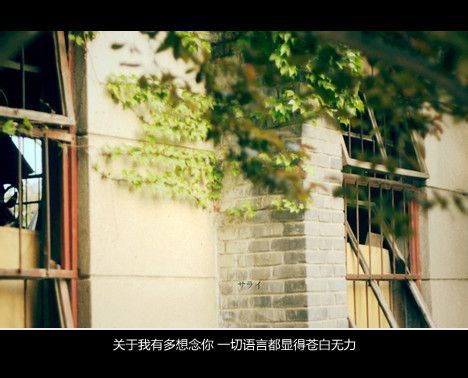 唯美图片，文字图片,情侣图片qqqqp