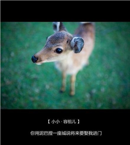 唯美图片，文字图片,情侣图片qqqqp
