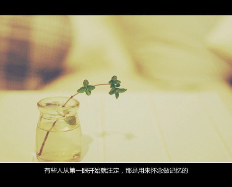 唯美图片，文字图片,情侣图片qqqqp