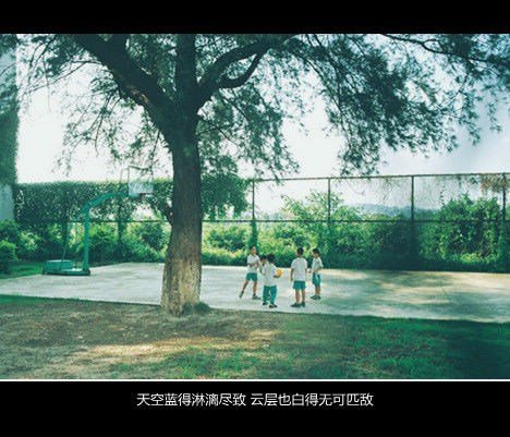 唯美图片，文字图片,情侣图片qqqqp