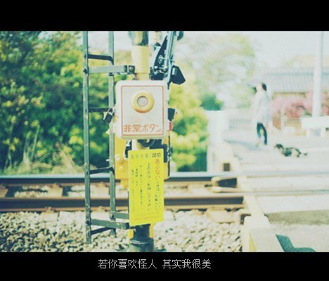 唯美图片，文字图片,情侣图片qqqqp