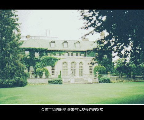 唯美图片，文字图片,情侣图片qqqqp