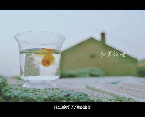 唯美图片，文字图片,情侣图片qqqqp