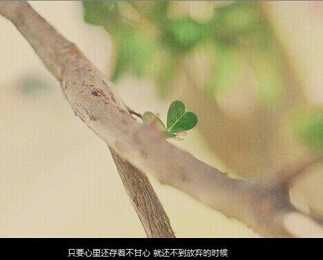 唯美图片，文字图片,情侣图片qqqqp