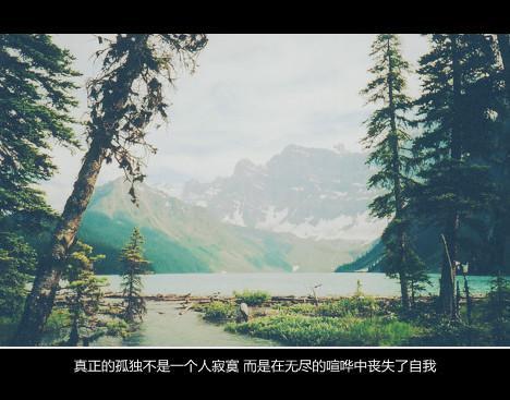 唯美图片，文字图片,情侣图片qqqqp