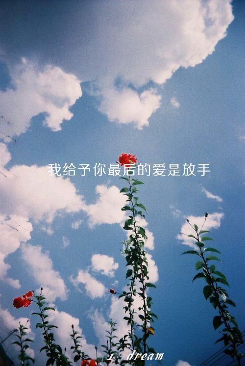 你说的开始，是我们结束的倒计时 忧伤带字图片