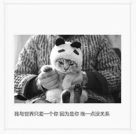 久伴必定深情，多言始于厚爱