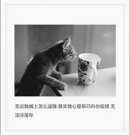 唯美图片，文字图片,情侣图片qqqqp