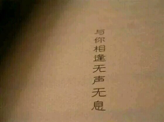唯美图片，文字图片,情侣图片qqqqp