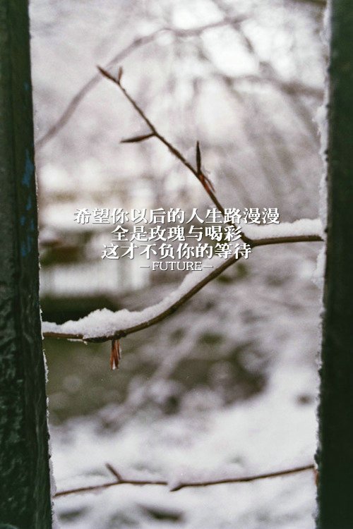 我拼命挤进众人的狂欢，只为趁机赶走孤单