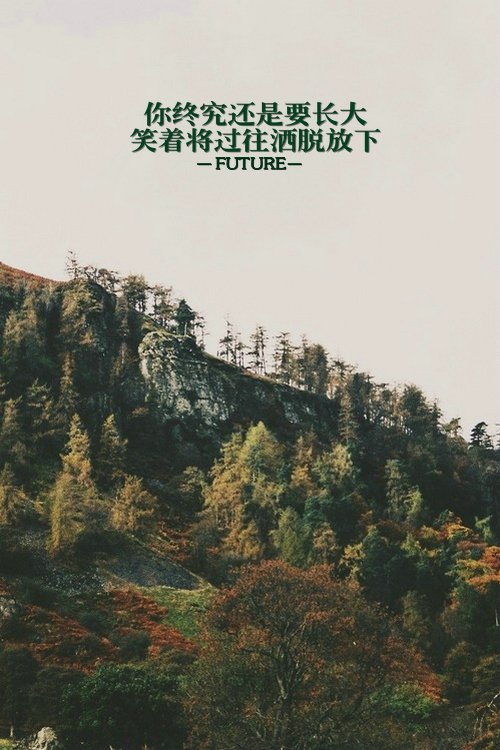 唯美图片，文字图片,情侣图片qqqqp